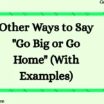 Other Ways to Say "Go Big or Go Home" (With Examples)