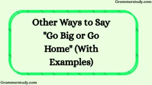Other Ways to Say "Go Big or Go Home" (With Examples)