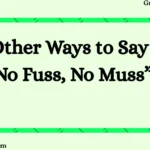 Other Ways to Say “No Fuss, No Muss”