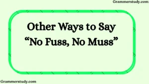 Other Ways to Say “No Fuss, No Muss”