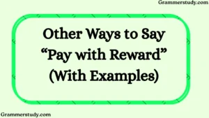 Other Ways to Say “Pay with Reward” (With Examples)