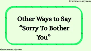Other Ways to Say “Sorry To Bother You”