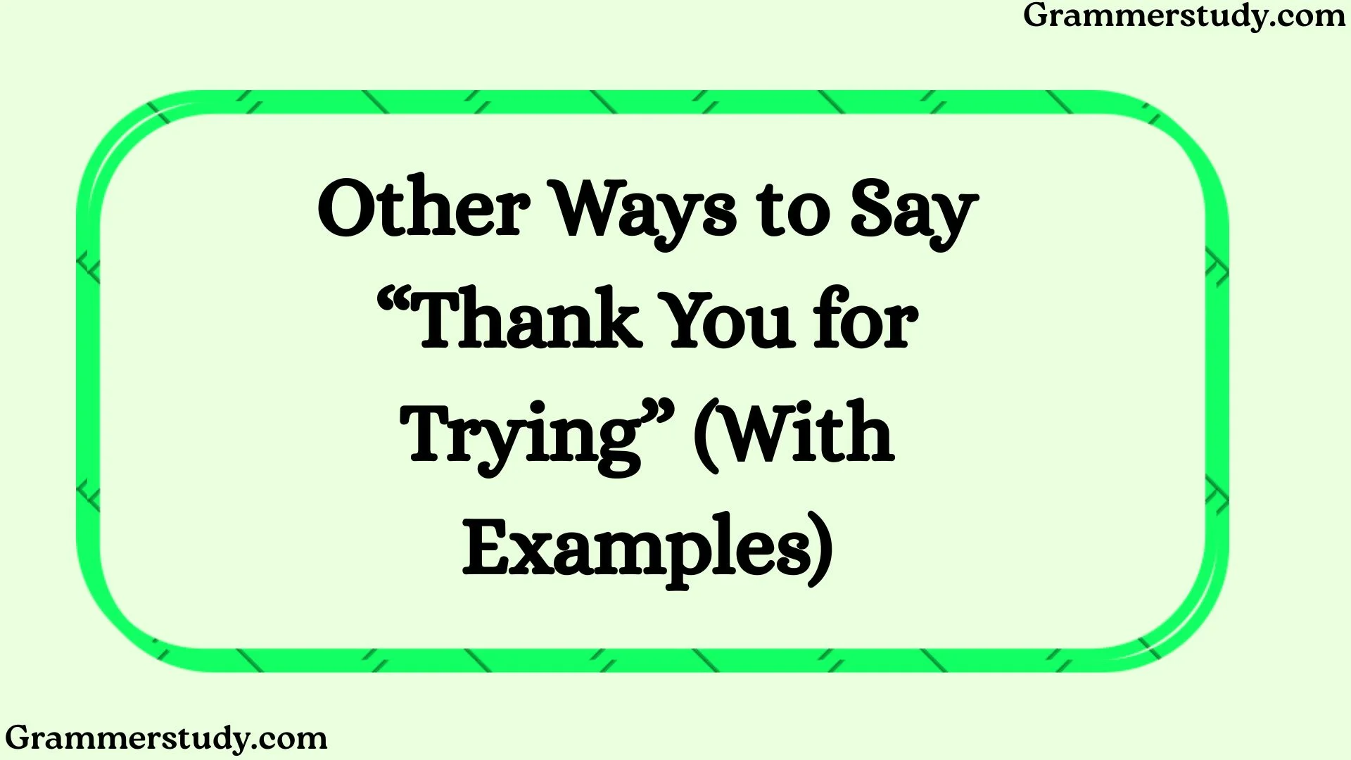 Other Ways to Say “Thank You for Trying” (With Examples)