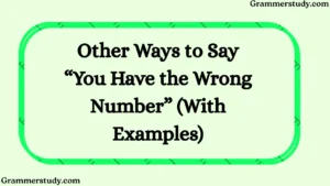 Other Ways to Say “You Have the Wrong Number” (With Examples)